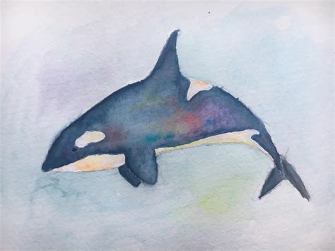 Killer whale : r/Watercolor