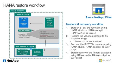 Azure Netapp Files Restore Your Hana Database From A Snapshot Backup