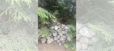 Натуральные камни для ландшафтного дизайна купить в Королеве | Товары ...