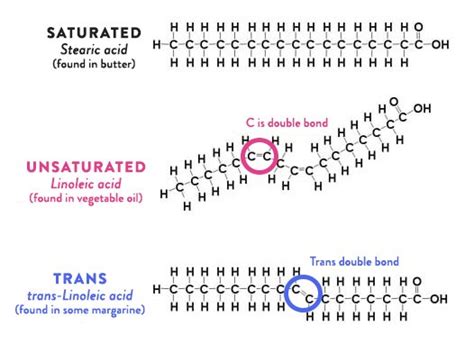 Grassi Buoni E Cattivi Cosa Sono I Grassi Saturi Insaturi
