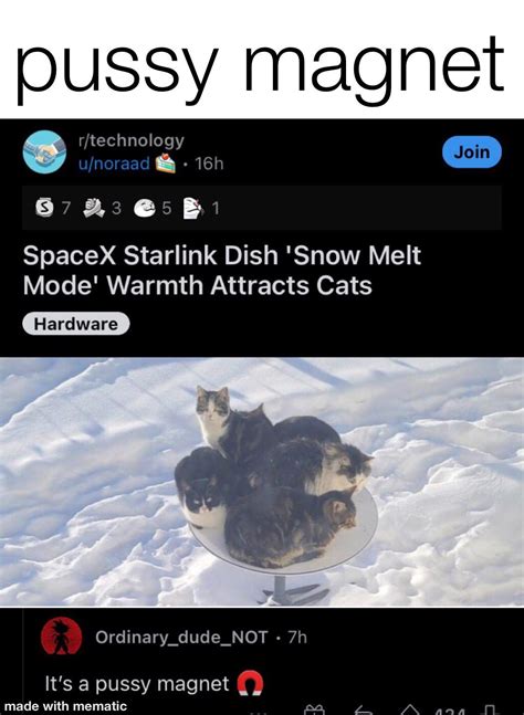 Pussy Magnet R Meme