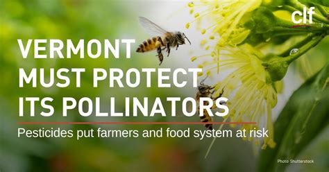 Its Time For Vermont To Protect Its Pollinators Farmers And Food