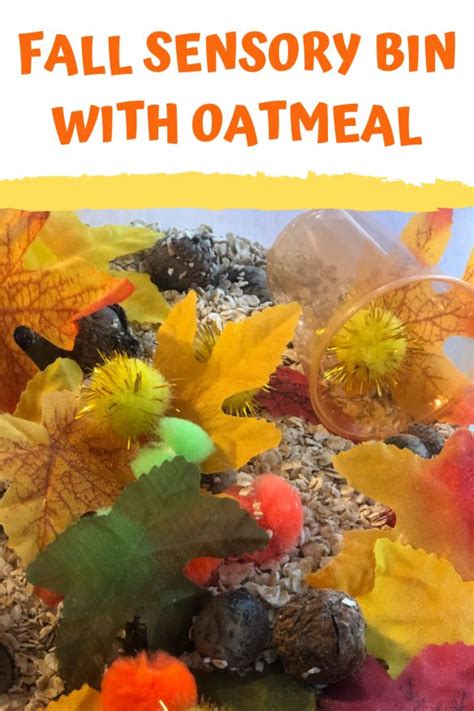 Fall Sensory Bin With Oatmeal Fall Sensory Bin Sensory Bins Kids