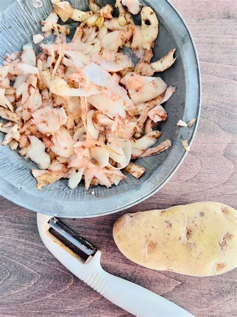 Crispy Air Fryer Potato Peels The Short Order Cook