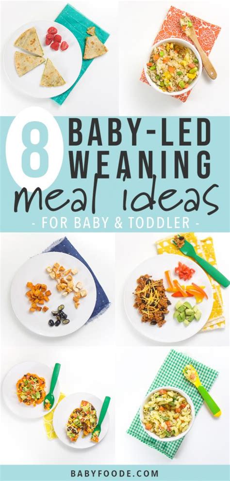 8 Baby-Led Weaning Meal Ideas for Baby + Toddler - Baby Foode