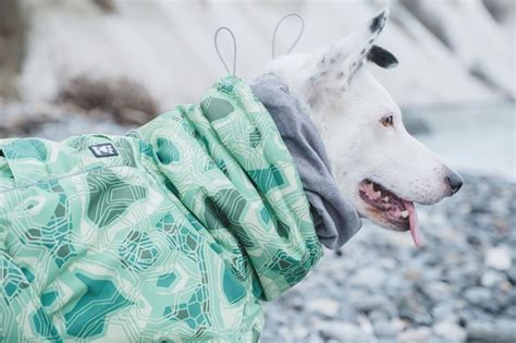 Hurtta Extreme Warmer | Šape pet shop