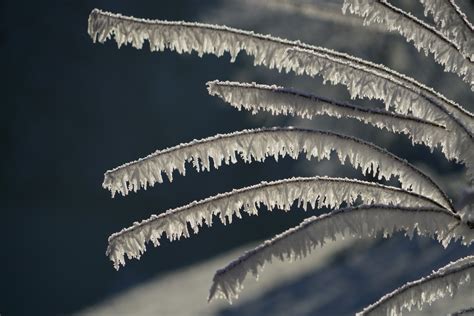 Bakgrundsbilder Sn Vinter Himmel Frost Buske Is N Rbild Iced