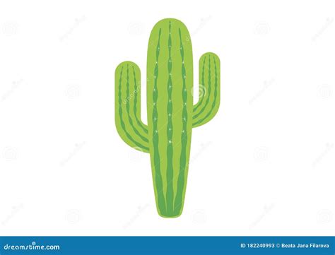 Vector De Icono De Cactus Saguaro Verde Ilustraci N Del Vector