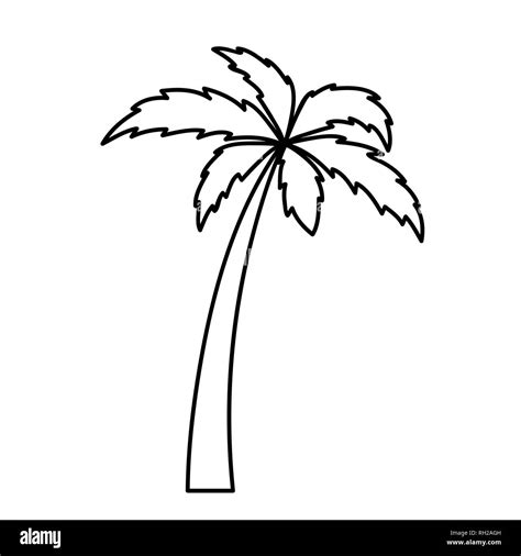 Palm Tree Simple Icon Pictogram Outline Vector Illustration Stock