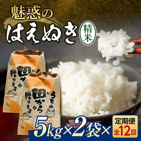 《先行予約》『定期便』令和5年産米 魅惑のはえぬき（精米）5kg×2 全12回 米 お米 おこめ 山形県 新庄市 F3s 1656 山形県