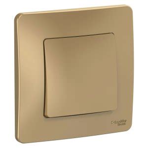 Купить Schneider Electric BLNVS010604 одноклавишный переключатель ...
