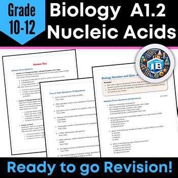 IB DP Biology: Theme A1.2 Nucleic Acids Quiz & Revision Worksheets 