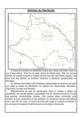 Distritos de Uberlândia PDF