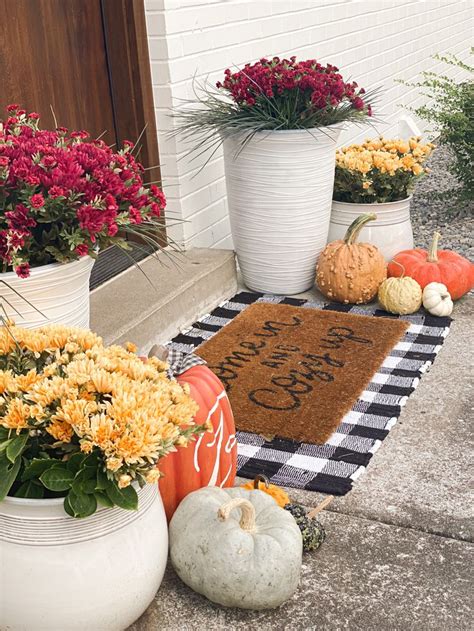 Mums & Pumpkins | Mums in pumpkins, Transitional home decor, Fall entry