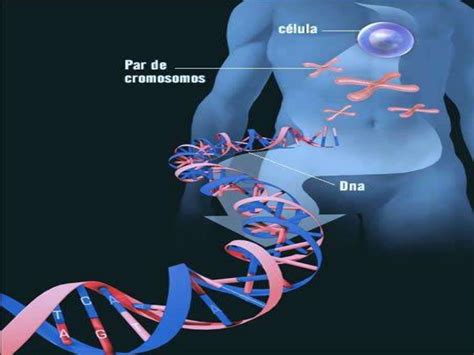 Projeto Genoma