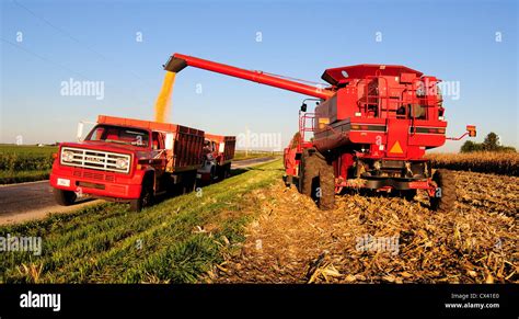 A Case Ih International Harvester Combine Harvests Corn And Stock