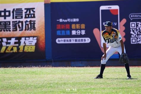 石虎不是貓，臺中市城市棒球隊台灣人壽成棒隊。 棒球 運動視界 Sports Vision