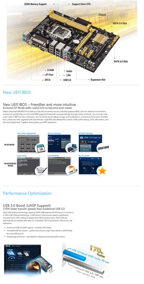 Buy ASUS H81M-C Motherboard [H81M-C] | PC Case Gear Australia