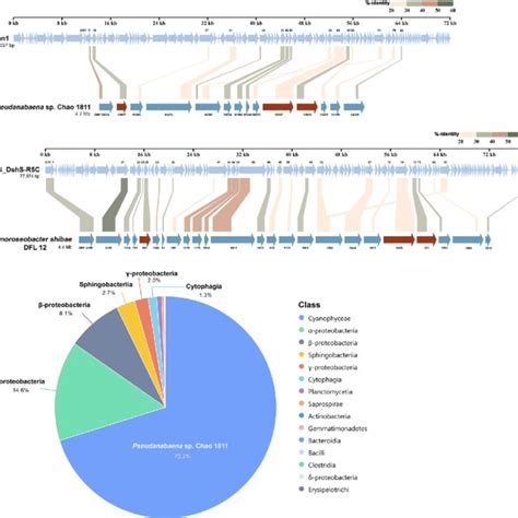 Evolutionary Traces Of Inter Phylum Gene Transfer Between Cyanobacteria