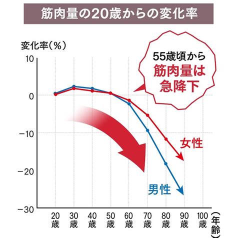 これが加齢で弱りゆく筋肉たち！筋力低下を防ぐ方法とは？ Literamilita パーソナルトレーニングジム