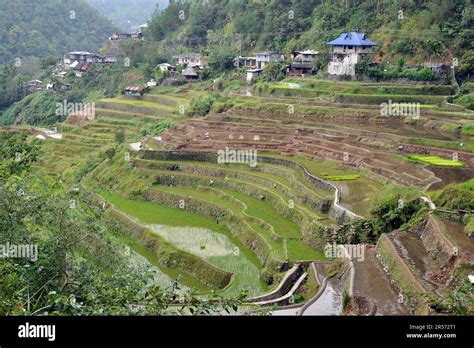 Philippines Banaue Rice Fields Stock Photo Alamy