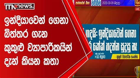 ඉන්දියාවෙන් ගෙනා බිත්තර ගැන කුකුළු ව්‍යාපාරිකයින් දැන් කියන කතා Youtube