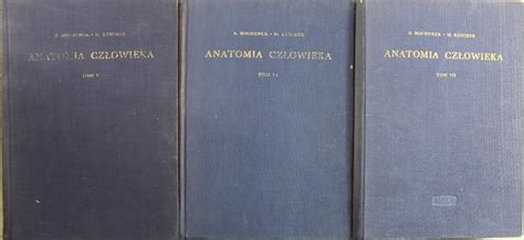Купить Анатомия человека 3 тома: отзывы, фото и характеристики на Aredi ...