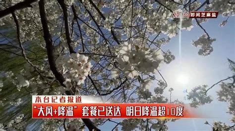 新一股冷空气登场！山东、河南等地降温超10℃！ 气温 大部地区 暖气团