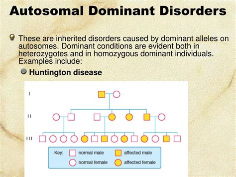 Ppt Linked Genes Sex Linkage And Pedigrees Powerpoint Presentation