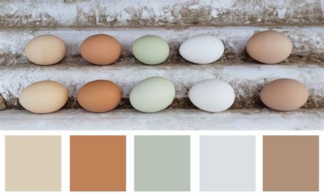 Egg Color Palette Based On A Photo Shared By S Hansen Harvey Coloring Eggs Chicken Egg Colors