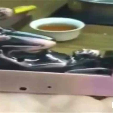 Funny H T B Free Funny Xxx Porn Video Xhamster Xhamster