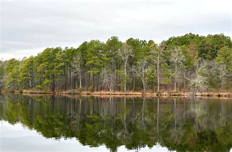 15+ Things To Do in Pinehurst NC 2024: Amazing Golf & More!