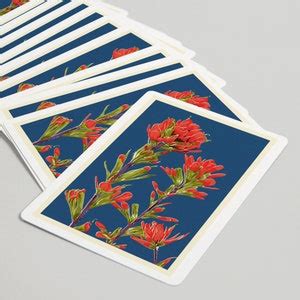 Playing Cards Indian Paintbrush Letterpress Lantern Press Artwork