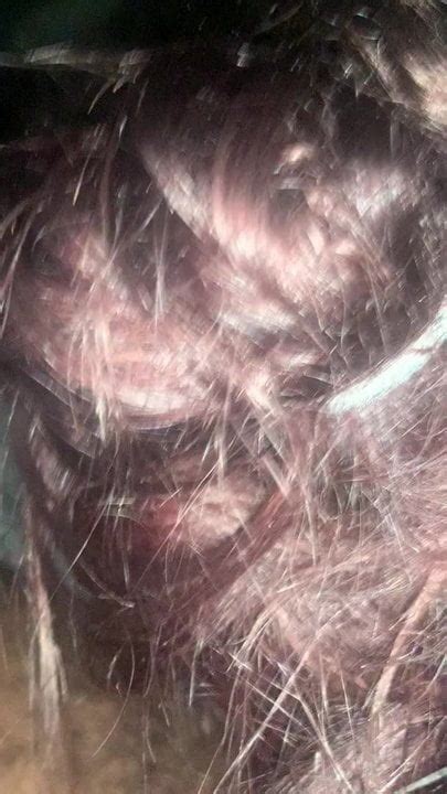 Goop Head American Blowjob Porn XHamster