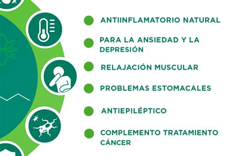 Cu Les Son Los Beneficios Del Cbd Natural Total