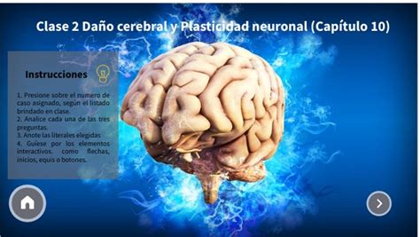 Copia Clase 2 Daño cerebral y plasticidad neuronal