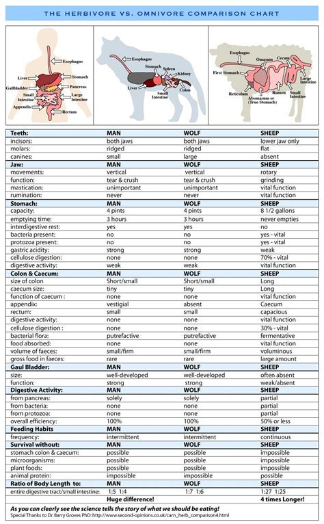 Diet meal plans, Meat diet, Meal planning