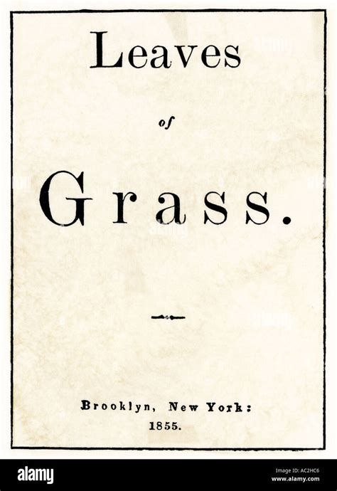 First Edition Title Page Of Leaves Of Grass Poetry By Walt Whitman 1855 Woodcut With A