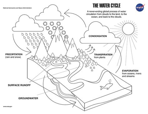 Free hydrological cycle worksheet, Download Free hydrological cycle ...