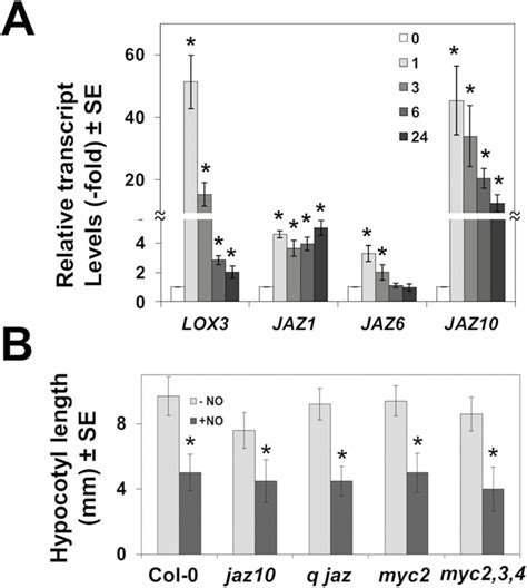 Nitric Oxide Responses In Arabidopsis Hypocotyls Are Mediated By