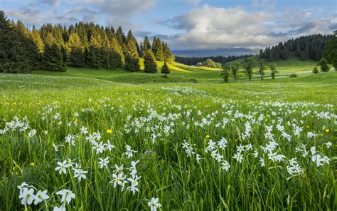 Paysages Et Faune Pour Les Amoureux De Nature Montagnes Du Jura