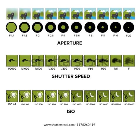 Aperture Shutter Speed Iso Cheat Sheet