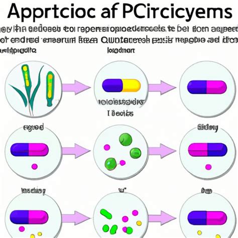 How Does Antibiotics Work Exploring Types Mechanism Of Action