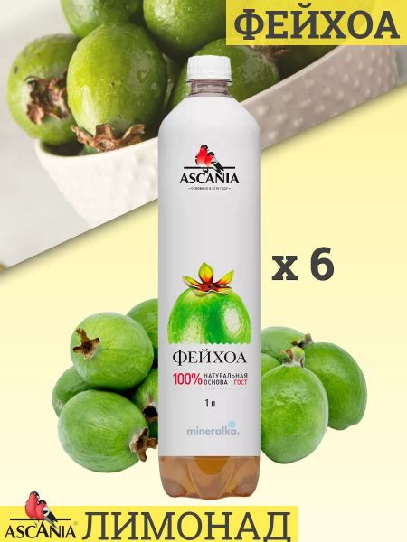 Газированный напиток Ascania / Аскания Фейхоа ПЭТ, 1 л (6 штук ...