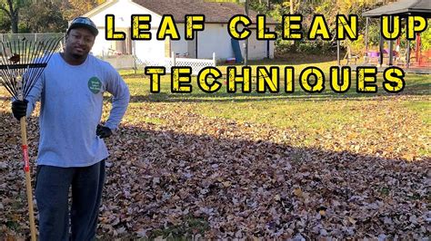 The Best Leaf Clean Up Techniques Youtube