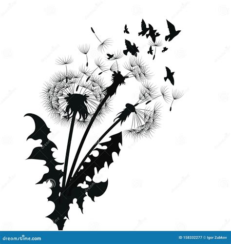 Silhouette D Un Dandelion Aux Graines Volantes Contour Noir D Un