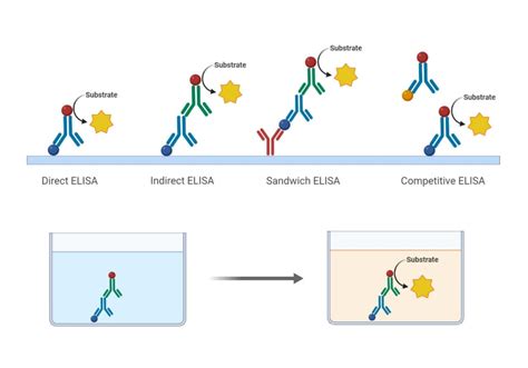 Elisa Plate Reader Microplate Reader Or Assay Reader