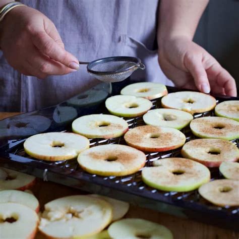 Cinnamon Dusted Dried Apple Rings The Hedgecombers