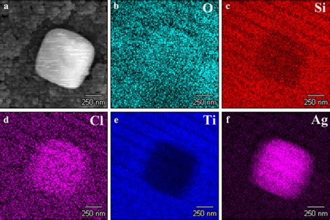 Sem Images Of A Tio Porous Ceramic Agagcl And Bf Eds Element Mapping