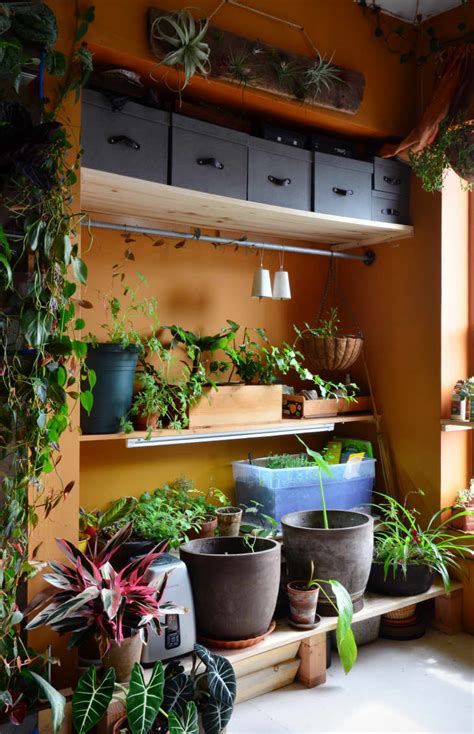 23 Indoor Garden Ideas How To Create A Garden In Your Home